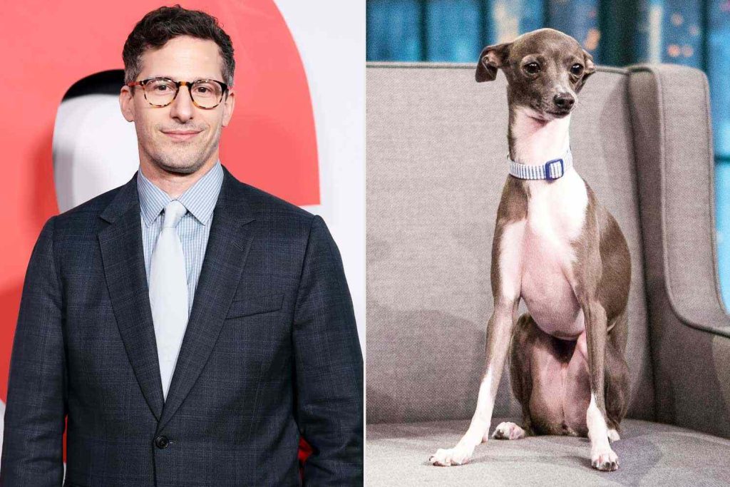 Andy Samberg claims he 'didn't kill' Seth Meyers' dog Frisbee