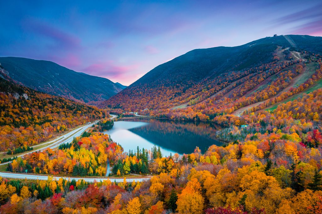 Fall Foliage Forecast for 2025: How to Find Peak Color in New England and Beyond
