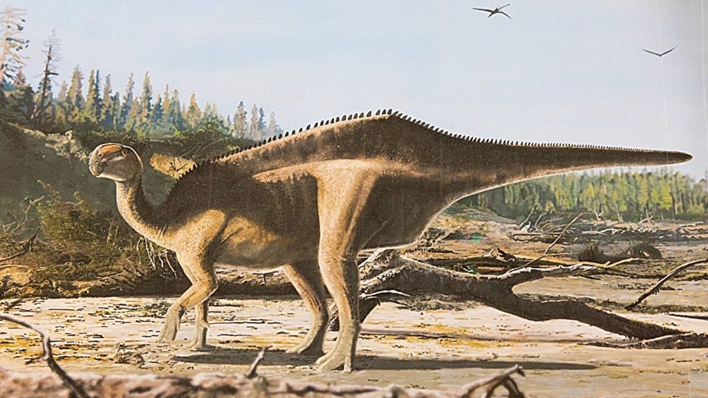 Retired doctor discovers new dinosaur species deep in a museum archive
