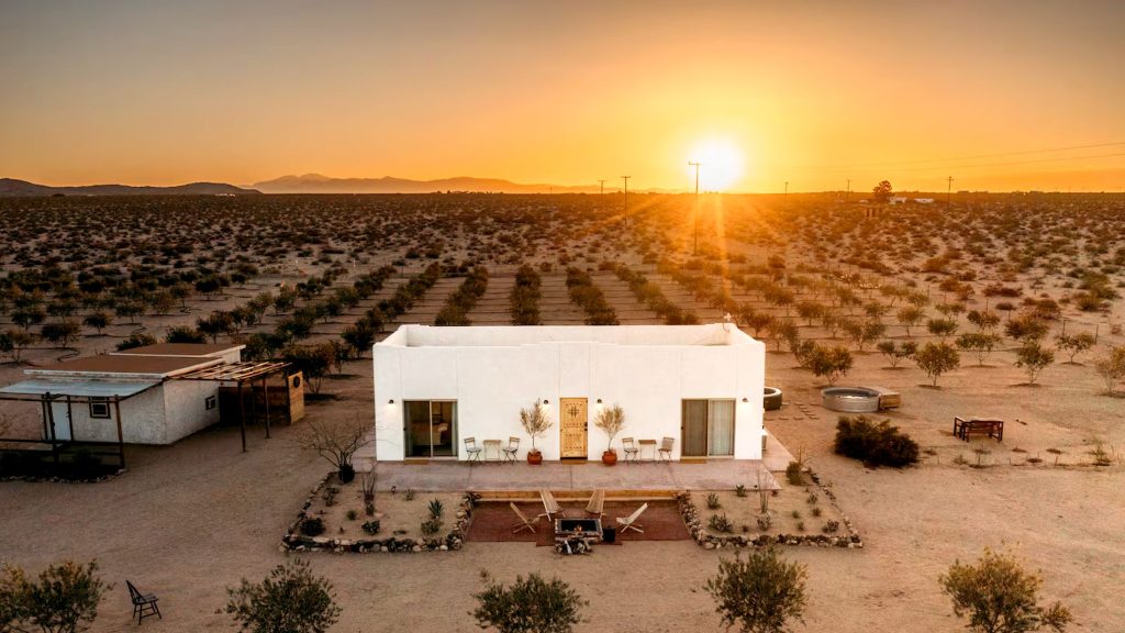 The Best Farm Stays on Airbnb, From Cattle Ranches to Olive Groves