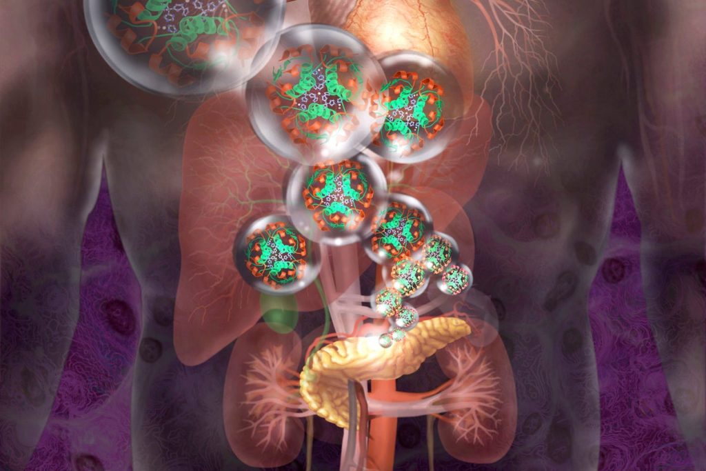 Type 1 Diabetes Patient’s Insulin Production Restored with New Cell Transplant Therapy