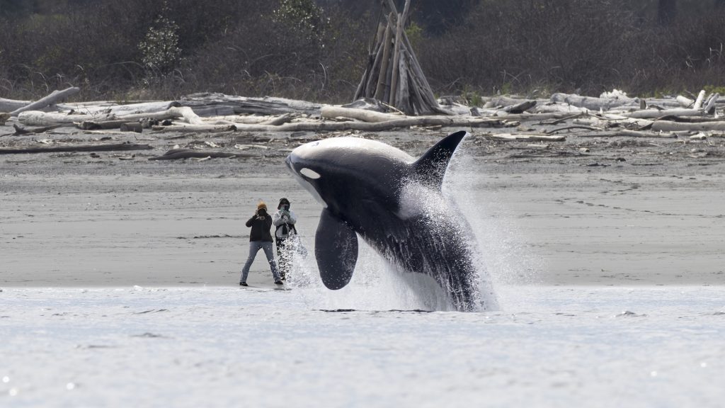 14 award-winning images of our mighty oceans