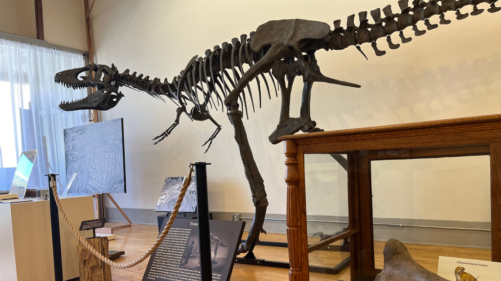 Amateur paleontologist opens fossil museum in rural Minnesota