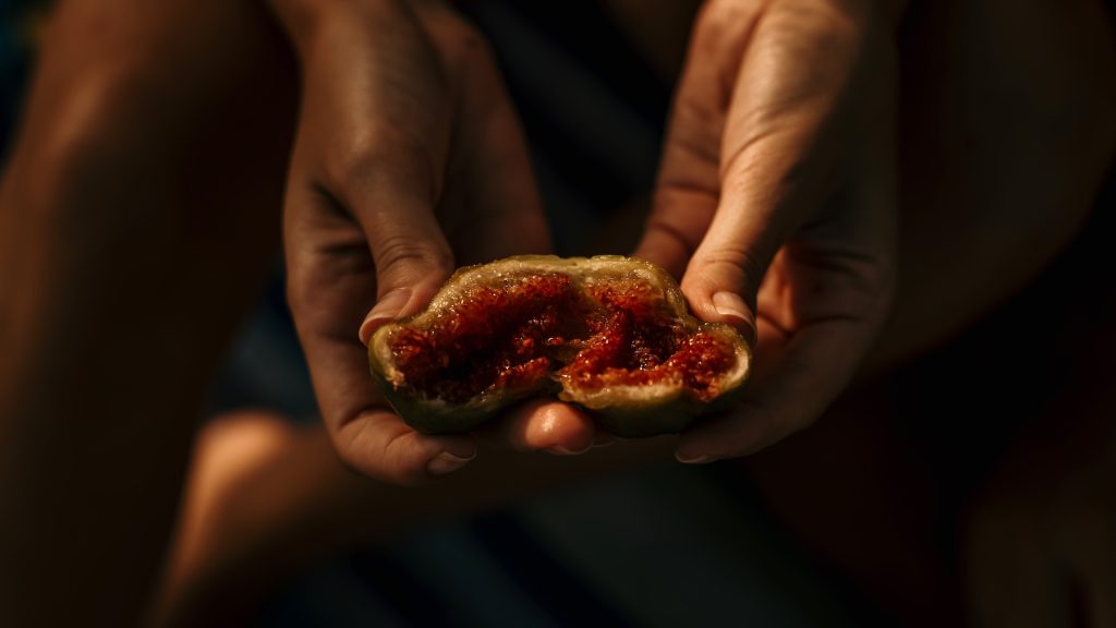 A photograph of a person holding an open fig