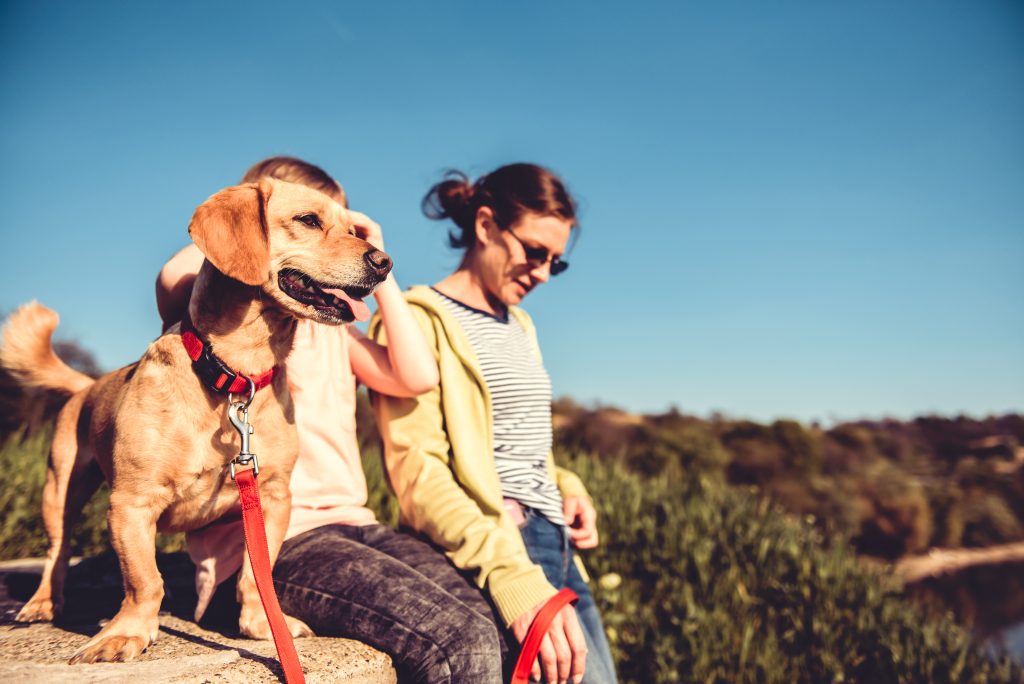 Find Dog-Friendly Hiking Trails with This Free Online Tool