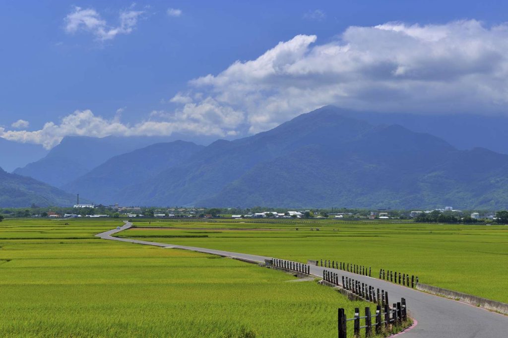 Mr. Brown Avenue Is One of the Most Beautiful Places in Taiwan