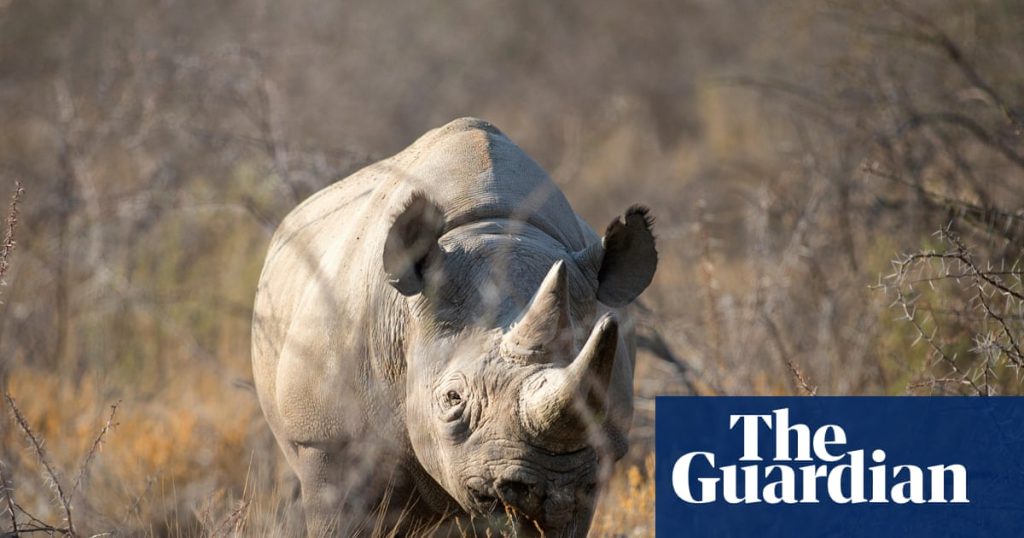 Namibia deploys army to fight wildfire burning third of Etosha game reserve | Namibia