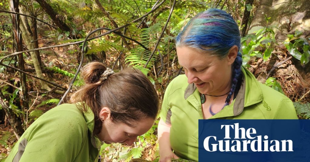 Saving the world’s fattest parrot: can we vaccinate our rarest species before bird flu gets to them? | Global development