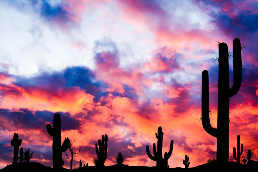 The Most Mysterious True Crimes That Happened in the World's Deadliest Desert