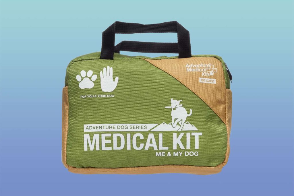 This First Aid Kit for Dogs Is a Pet Travel Essential