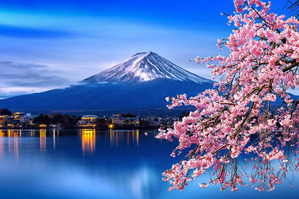Tourist Slammed for Stealing From Japanese Grave