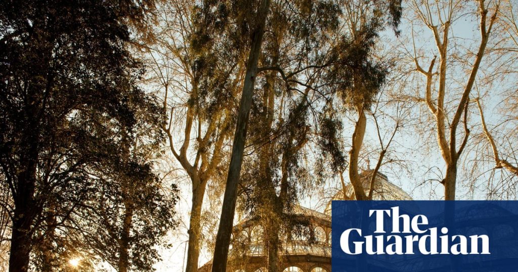 Autumn in Madrid: why Spain’s capital is city-break gold | Madrid holidays