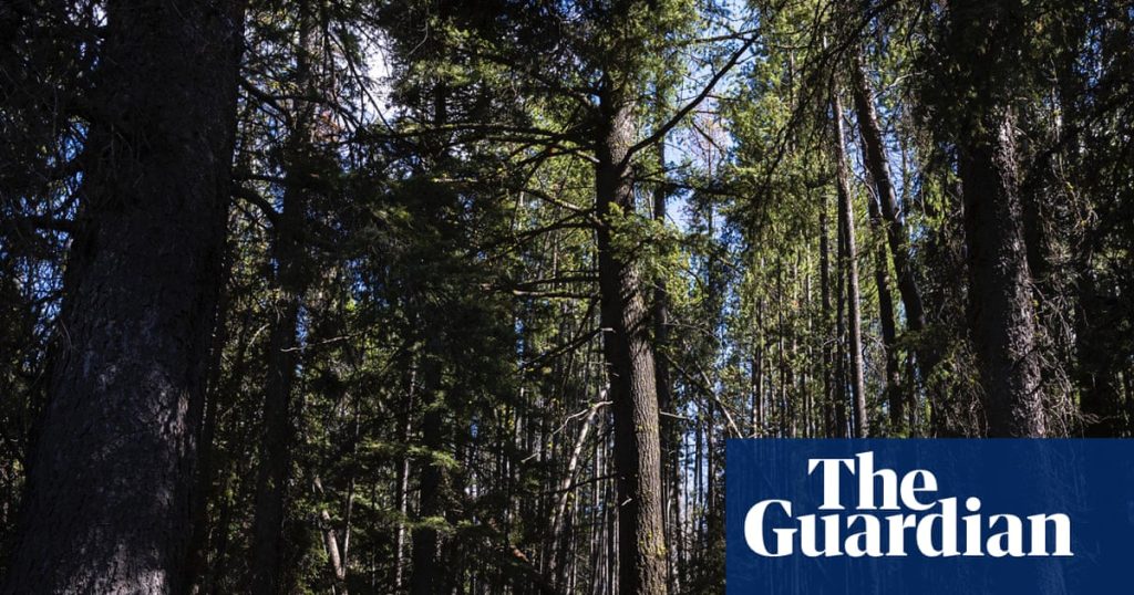 She left her desk job and walked 3,541 miles from Mexico to Canada: ‘Give yourself permission’ | Walking She left her desk job and walked 3,541 miles from Mexico to Canada: ‘Give yourself permission’ | Walking