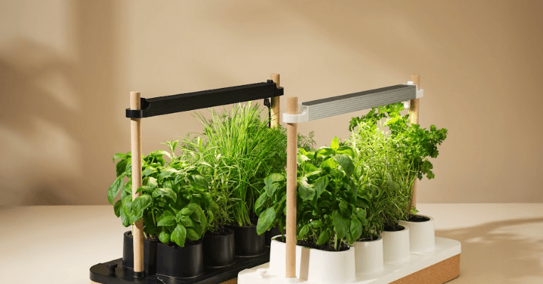 The Auk Mini Herb Garden Is Still Up to $30 Off (2025) The Auk Mini Herb Garden Is Still Up to $30 Off (2025)