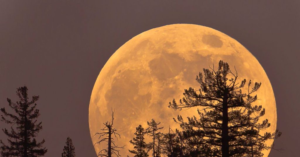 Thursday’s Cold Moon Is the Last Supermoon of the Year. Here’s How and When to View It Thursday's Cold Moon Is the Last Supermoon of the Year. Here's How and When to View It
